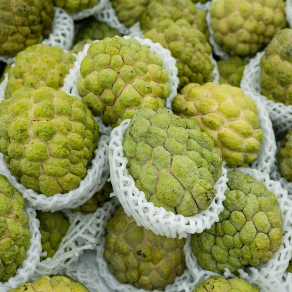 Custard Apple