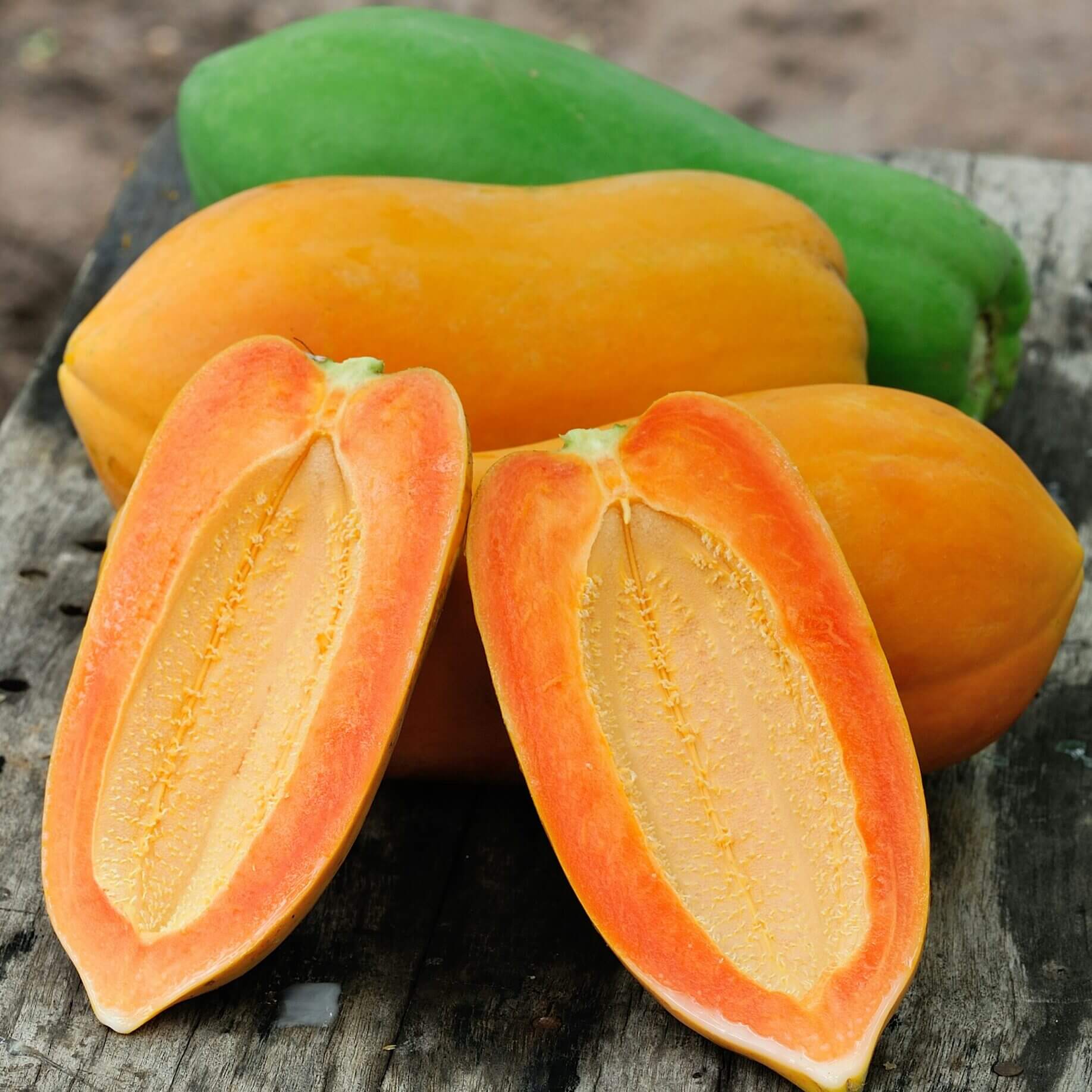 Papaya