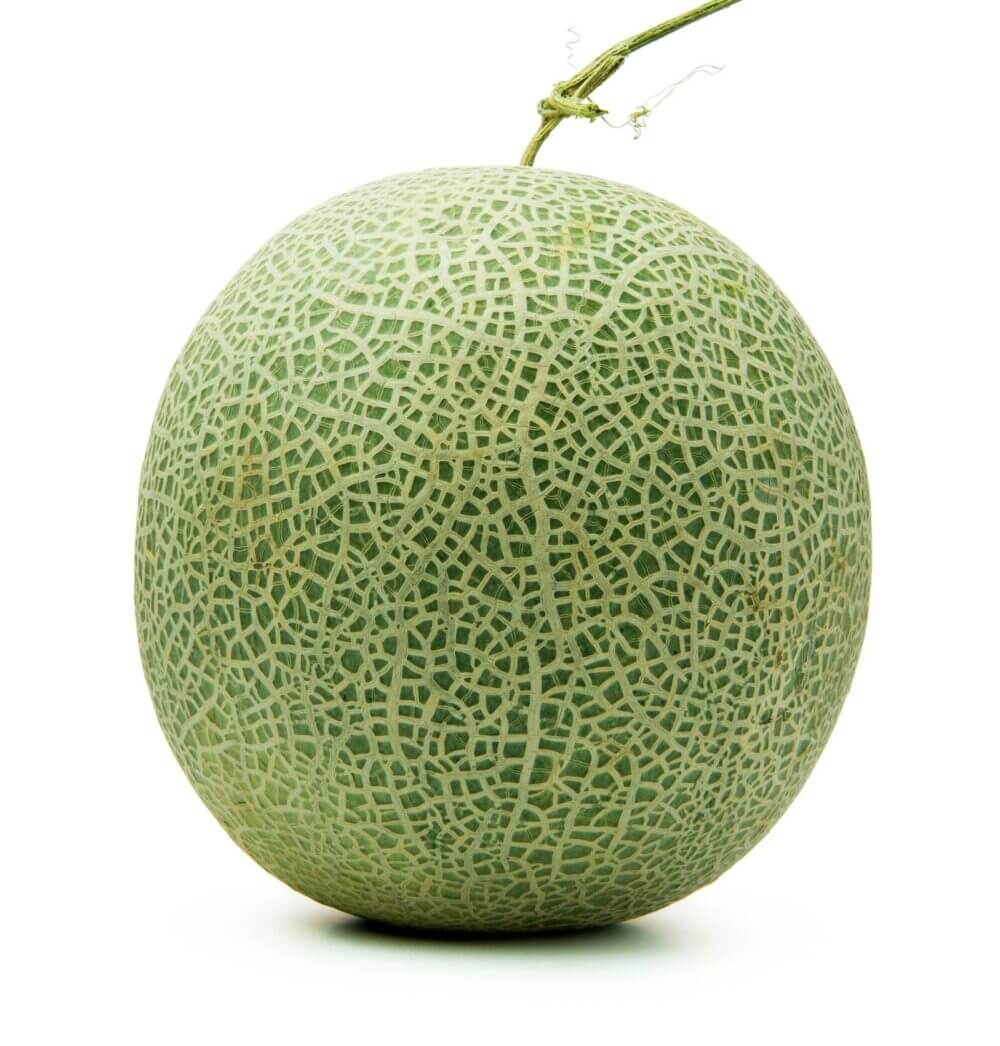 Rock Melon