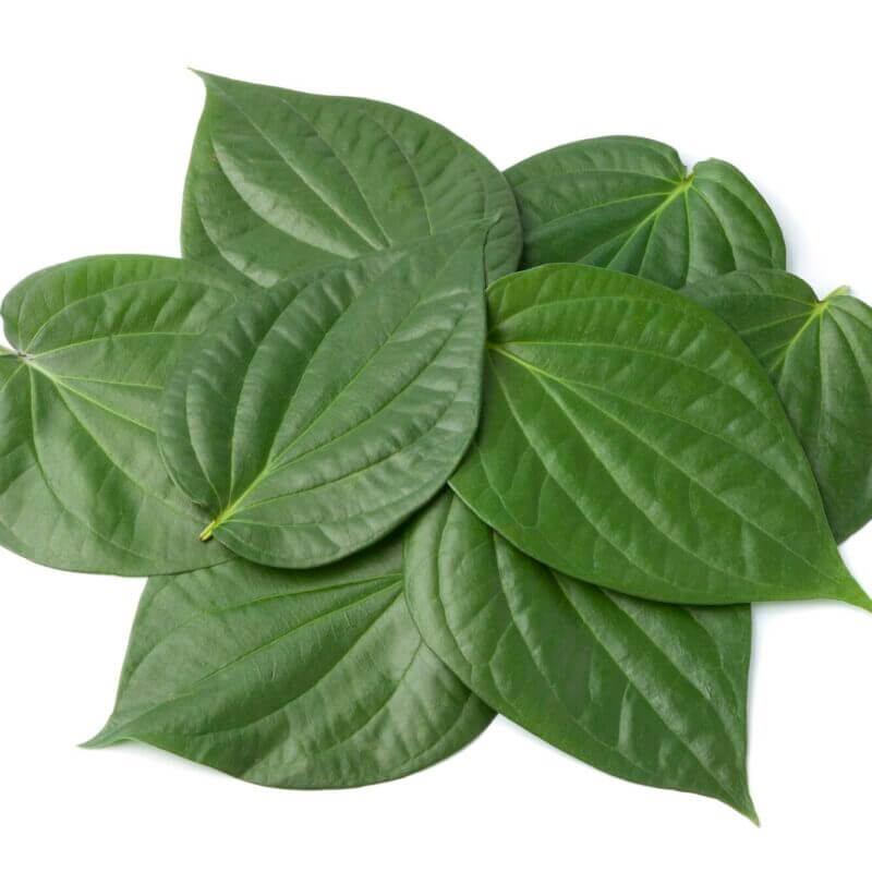 Betle Leaves