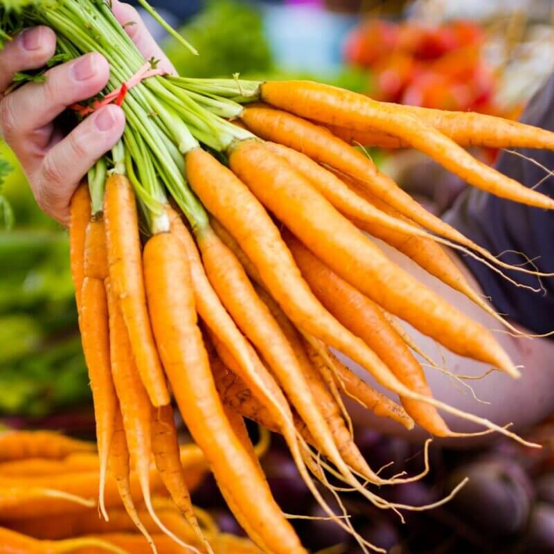Carrot