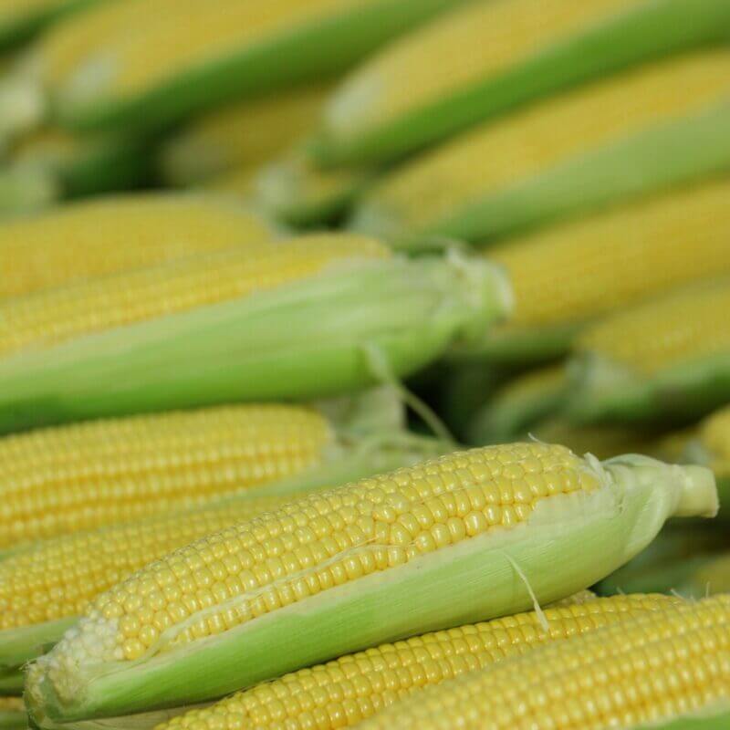 Corn