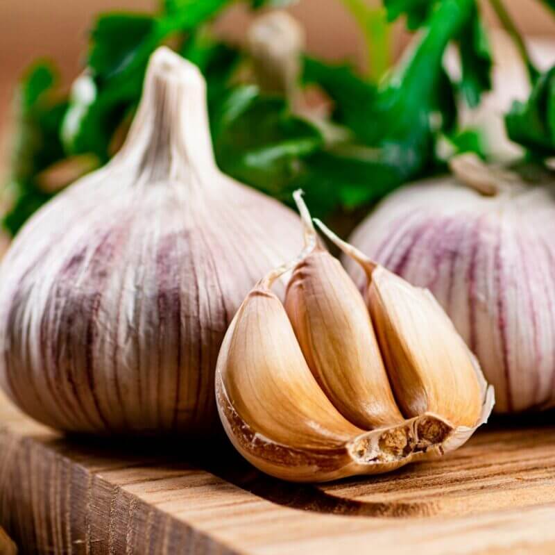 Garlic