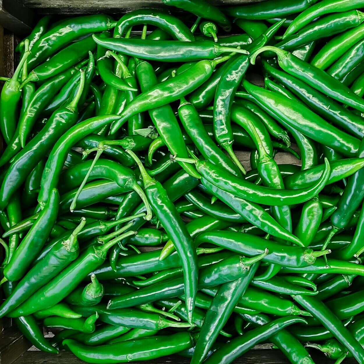 Green Chili