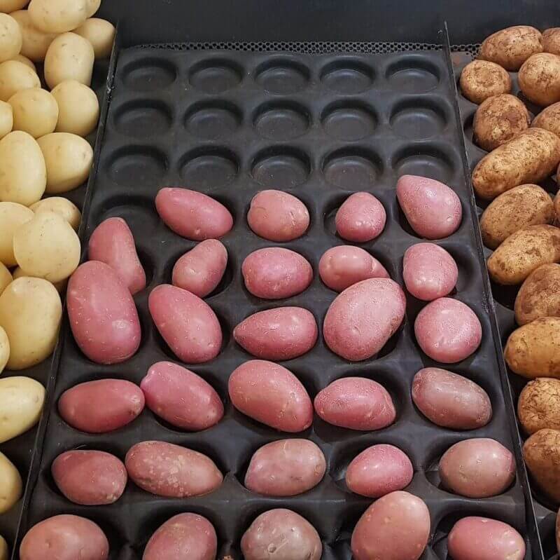 Potatoes